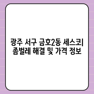 광주 서구 금호2동 세스코 가격 & 후기| 좀벌레 해결, 가정집/원룸 맞춤 솔루션 | 비용, 신청, 가입, 진단 2024