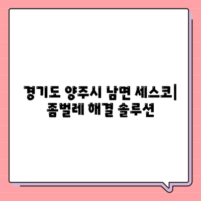 경기도 양주시 남면 세스코 가격 & 후기| 가정집, 원룸, 좀벌래 해결 솔루션 | 비용, 신청, 가입, 진단 2024