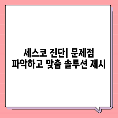 전라남도 무안군 몽탄면 세스코 가격 및 후기| 가정집, 원룸, 좀벌래 해결 솔루션 | 비용, 신청, 가입, 진단 2024