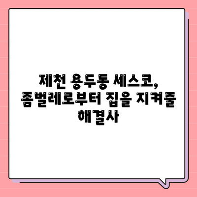 제천 용두동 세스코 가격 & 후기| 가정집, 원룸, 좀벌래 해결 솔루션 | 비용, 신청, 가입, 진단 2024