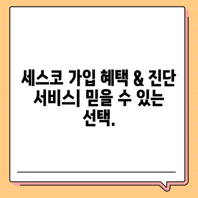 강원도 철원군 서면 세스코 가격 및 후기| 가정집, 원룸, 좀벌래 해결 솔루션 | 비용, 신청, 가입, 진단 2024