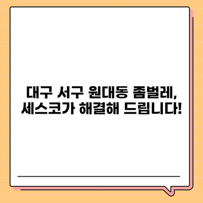 대구 서구 원대동 세스코 가격 & 후기| 가정집, 원룸 좀벌레 해결 솔루션 | 2024 비용, 신청, 가입, 진단