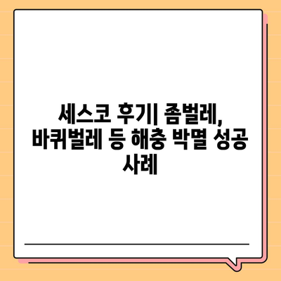 전라남도 장흥군 장동면 세스코 가격 & 후기| 가정집, 원룸, 좀벌래 해결법 | 2024 최신 정보