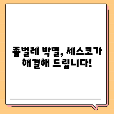 울산 울주군 상북면 세스코 가격 & 후기| 가정집, 원룸, 좀벌래 해결 솔루션 | 비용, 신청, 가입, 진단 2024