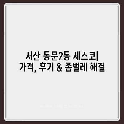 서산 동문2동 세스코 가격 & 후기| 가정집, 원룸, 좀벌레 해결 방안 | 비용, 신청, 가입, 진단 2024