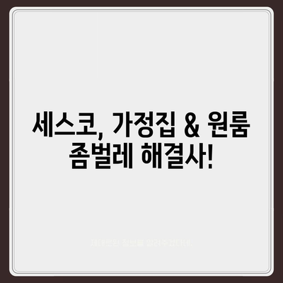 충청남도 부여군 세도면 세스코 가격 & 후기| 가정집, 원룸, 좀벌래 해결 솔루션 | 비용, 신청, 가입, 진단 2024