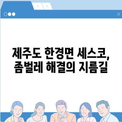 제주도 한경면 세스코 가격 & 후기| 가정집, 원룸, 좀벌래 해결 솔루션 | 비용, 신청, 가입, 진단 2024