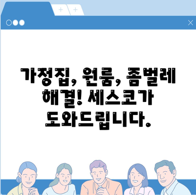 광주시 남구 월산4동 세스코 가격 & 후기| 가정집, 원룸, 좀벌래 해결 솔루션 | 비용, 신청, 가입, 진단 2024