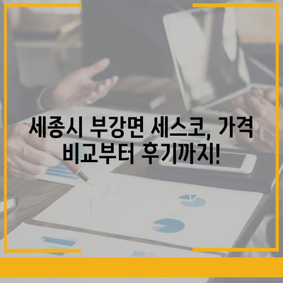 세종시 부강면 세스코 가격 & 후기| 가정집, 원룸, 좀벌래 해결 솔루션 | 2024 최신 정보