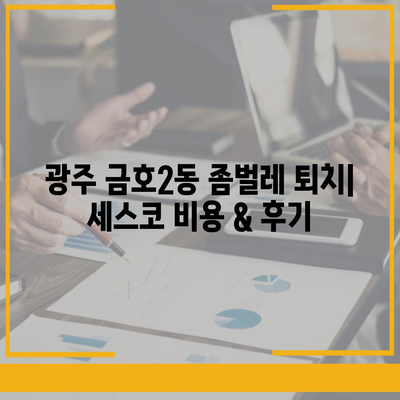 광주 서구 금호2동 세스코 가격 & 후기| 좀벌레 해결, 가정집/원룸 맞춤 솔루션 | 비용, 신청, 가입, 진단 2024