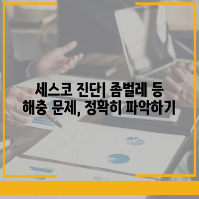 안성시 보개면 세스코 가격 & 후기| 가정집, 원룸, 좀벌래 해결 솔루션 | 비용, 신청, 가입, 진단, 2024