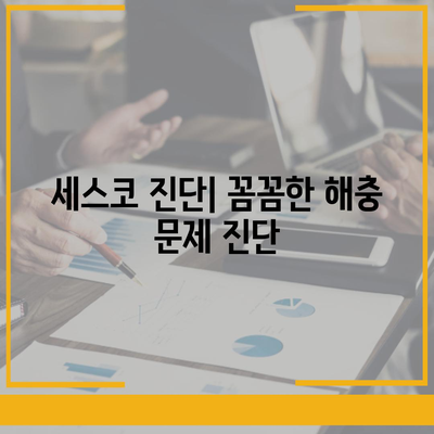 대구 달서구 성당동 세스코 가격 & 후기| 가정집, 원룸, 좀벌래 해결 솔루션 | 비용, 신청, 가입, 진단 2024