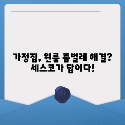 제주도 제주시 삼양동 세스코 가격 & 후기| 가정집, 원룸, 좀벌래 해결 솔루션 | 2024 최신 정보