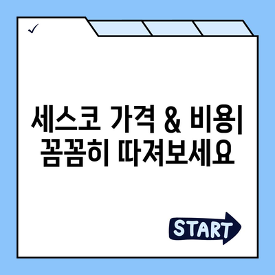 제주도 서귀포시 예래동 세스코 가격 & 후기| 가정집, 원룸, 좀벌레 해결 솔루션 | 비용, 신청, 가입, 진단 2024