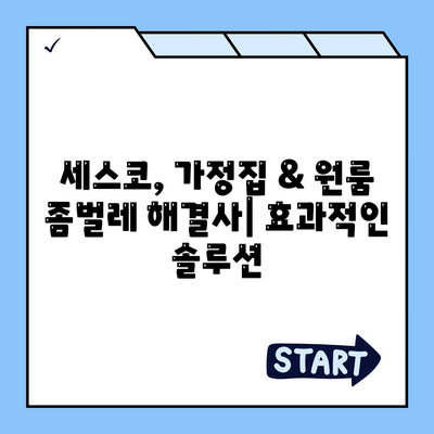 부산 기장군 대변면 세스코 가격 & 후기| 가정집, 원룸, 좀벌레 해결 솔루션 | 비용, 신청, 가입, 진단 2024