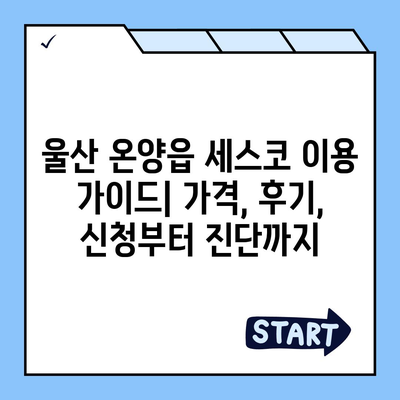 울산 온양읍 세스코 가격 & 후기| 가정집, 원룸, 좀벌레 해결 솔루션 | 비용, 신청, 가입, 진단 2024