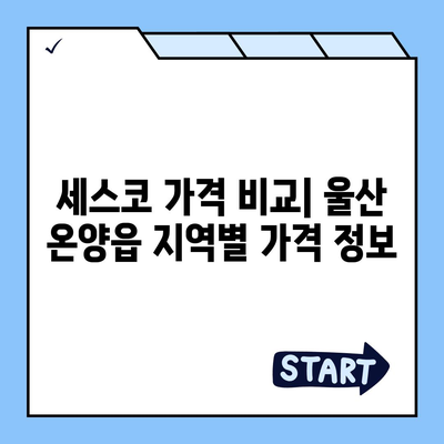 울산 온양읍 세스코 가격 & 후기| 가정집, 원룸, 좀벌레 해결 솔루션 | 비용, 신청, 가입, 진단 2024