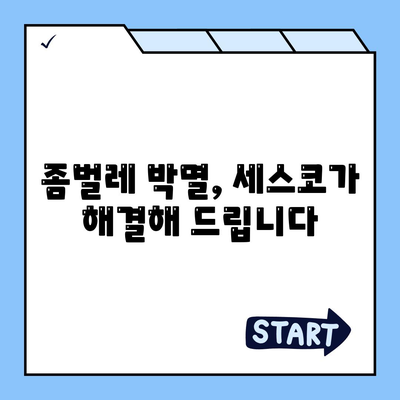 대전 유성구 대정동 세스코 가격 & 후기| 가정집, 원룸, 좀벌래 해결 솔루션 | 비용, 신청, 가입, 진단 2024