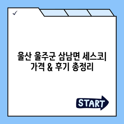 울산 울주군 삼남면 세스코 가격 & 후기| 가정집, 원룸, 좀벌래 해결 솔루션 | 비용, 신청, 가입, 진단 2024