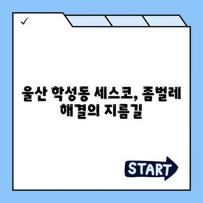 울산 중구 학성동 세스코 가격 & 후기| 가정집, 원룸, 좀벌래 해결 솔루션 | 비용, 신청, 가입, 진단 2024