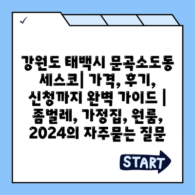 강원도 태백시 문곡소도동 세스코| 가격, 후기, 신청까지 완벽 가이드 | 좀벌레, 가정집, 원룸, 2024