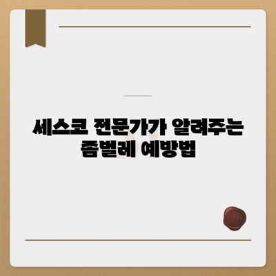 부산 북구 덕천1동 세스코 가격 & 후기| 가정집, 원룸, 좀벌래 해결 솔루션 | 2024 최신 정보