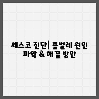 울산 동구 남목1동 세스코 가격 & 후기| 좀벌레, 가정집, 원룸, 2024년 최신 정보 | 비용, 신청, 가입, 진단