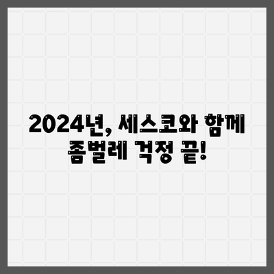 강원도 태백시 문곡소도동 세스코| 가격, 후기, 신청까지 완벽 가이드 | 좀벌레, 가정집, 원룸, 2024