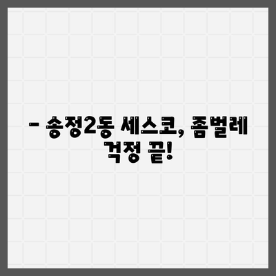 광주 광산구 송정2동 세스코 가격 및 후기| 가정집, 원룸, 좀벌래 해결 솔루션 | 비용, 신청, 가입, 진단 2024