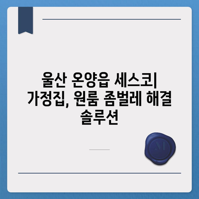 울산 온양읍 세스코 가격 & 후기| 가정집, 원룸, 좀벌레 해결 솔루션 | 비용, 신청, 가입, 진단 2024