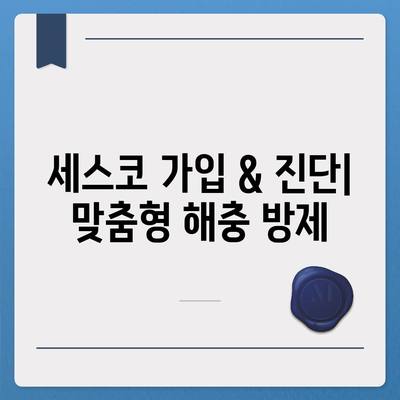 세종시 어진동 세스코 가격 & 후기| 가정집, 원룸, 좀벌래 해결 솔루션 | 비용, 신청, 가입, 진단 2024