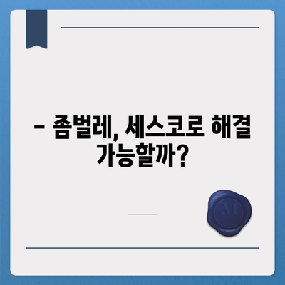 대전 대덕구 중리동 & 제주 용담2동 세스코 가격 비교| 가정집, 원룸 후기 & 신청 가이드 | 좀벌레, 비용, 후기 2024