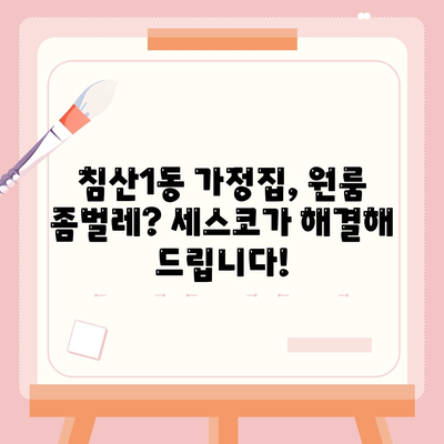 대구 침산1동 세스코 가격 & 후기| 가정집, 원룸, 좀벌레 해결 솔루션 | 비용, 신청, 가입, 진단 2024