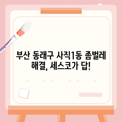 부산 동래구 사직1동 세스코 가격 & 후기| 가정집/원룸 좀벌레 해결 솔루션 | 비용, 신청, 가입, 진단 2024