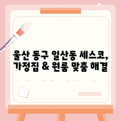 울산 동구 일산동 세스코 가격 및 후기| 가정집, 원룸, 좀벌래 해결 솔루션 | 비용, 신청, 가입, 진단, 2024