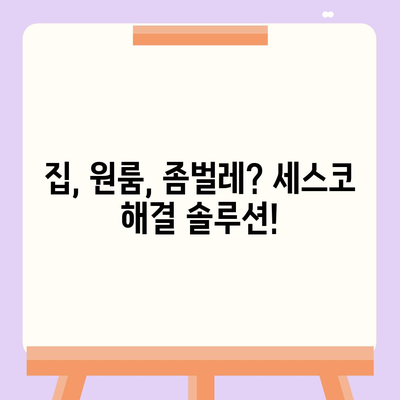 제주도 서귀포시 중앙동 세스코 가격 & 후기 2024| 가정집, 원룸, 좀벌레 해결 솔루션 | 비용, 신청, 가입, 진단