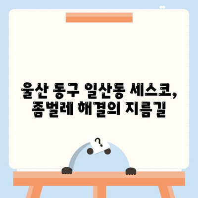 울산 동구 일산동 세스코 가격 및 후기| 가정집, 원룸, 좀벌래 해결 솔루션 | 비용, 신청, 가입, 진단, 2024