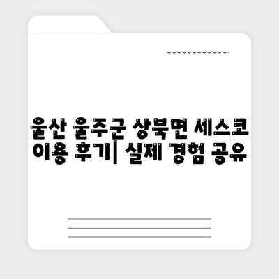 울산 울주군 상북면 세스코 가격 & 후기| 가정집, 원룸, 좀벌래 해결 솔루션 | 비용, 신청, 가입, 진단 2024