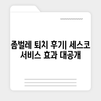 부산 북구 덕천1동 세스코 가격 & 후기| 가정집, 원룸, 좀벌래 해결 솔루션 | 2024 최신 정보