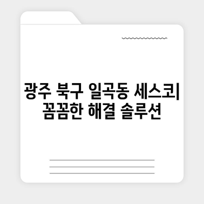 광주 북구 일곡동 세스코 가격 & 후기| 가정집, 원룸, 좀벌래 해결 솔루션 | 2024 비용, 신청, 가입, 진단