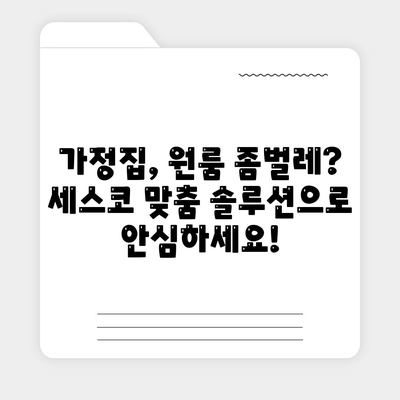 대전 유성구 온천2동 세스코 가격 & 후기| 좀벌레 해결, 가정집/원룸 맞춤 솔루션 | 비용, 신청, 진단, 2024