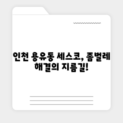 인천 용유동 세스코 가격 & 후기| 가정집, 원룸, 좀벌레 해결! | 비용, 신청, 가입, 진단, 2024