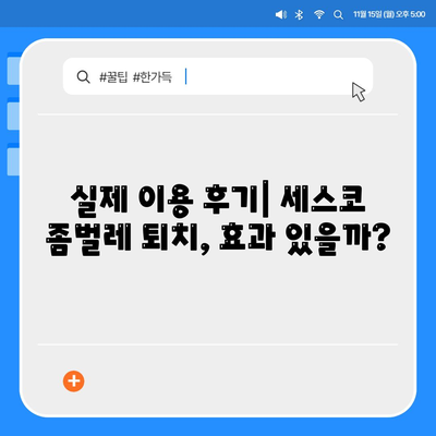 양산 서창동 세스코 가격 & 후기| 좀벌레, 가정집, 원룸, 비용, 2024년 최신 정보 | 세스코 신청, 가입, 진단