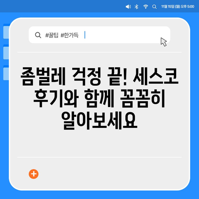 세종시 부강면 세스코 가격 & 후기| 가정집, 원룸, 좀벌래 해결 솔루션 | 2024 최신 정보