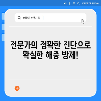 인천 영종1동 세스코 가격 & 후기| 가정집, 원룸, 좀벌레 해결 솔루션 | 비용, 신청, 가입, 진단, 2024