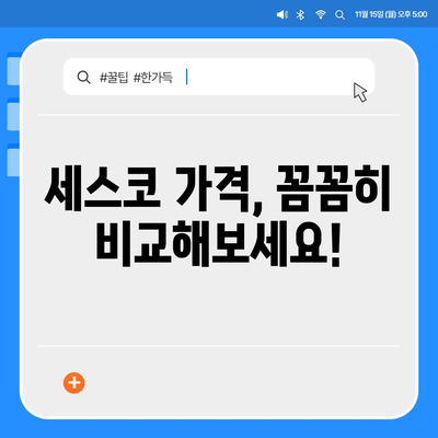 전라북도 임실군 성수면 세스코 가격 & 후기| 가정집, 원룸, 좀벌레 해결 솔루션 | 2024 최신 정보