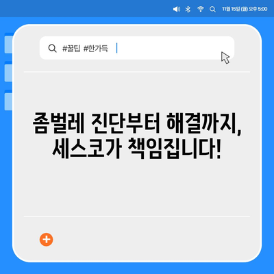 제주도 제주시 일도2동 세스코 가격 & 후기| 가정집, 원룸, 좀벌래 해결 솔루션 | 비용, 신청, 가입, 진단 2024