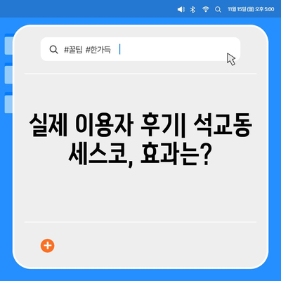 대전시 중구 석교동 세스코 가격 & 후기| 가정집, 원룸, 좀벌레까지! | 비용, 신청, 가입, 진단 2024