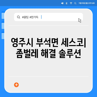 영주시 부석면 세스코 가격 & 후기| 가정집, 원룸, 좀벌래 해결 솔루션 | 비용, 신청, 가입, 진단 2024