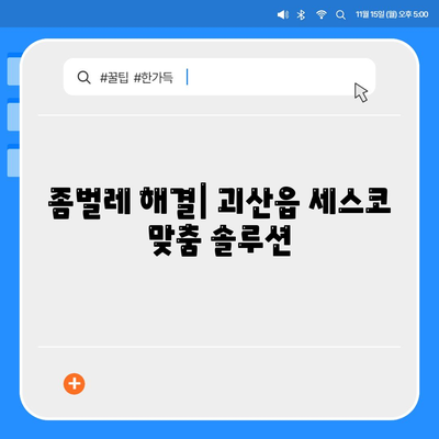 괴산읍 세스코 가격 & 후기| 가정집, 원룸, 좀벌레 해결 솔루션 | 2024 비용, 신청, 가입, 진단 정보